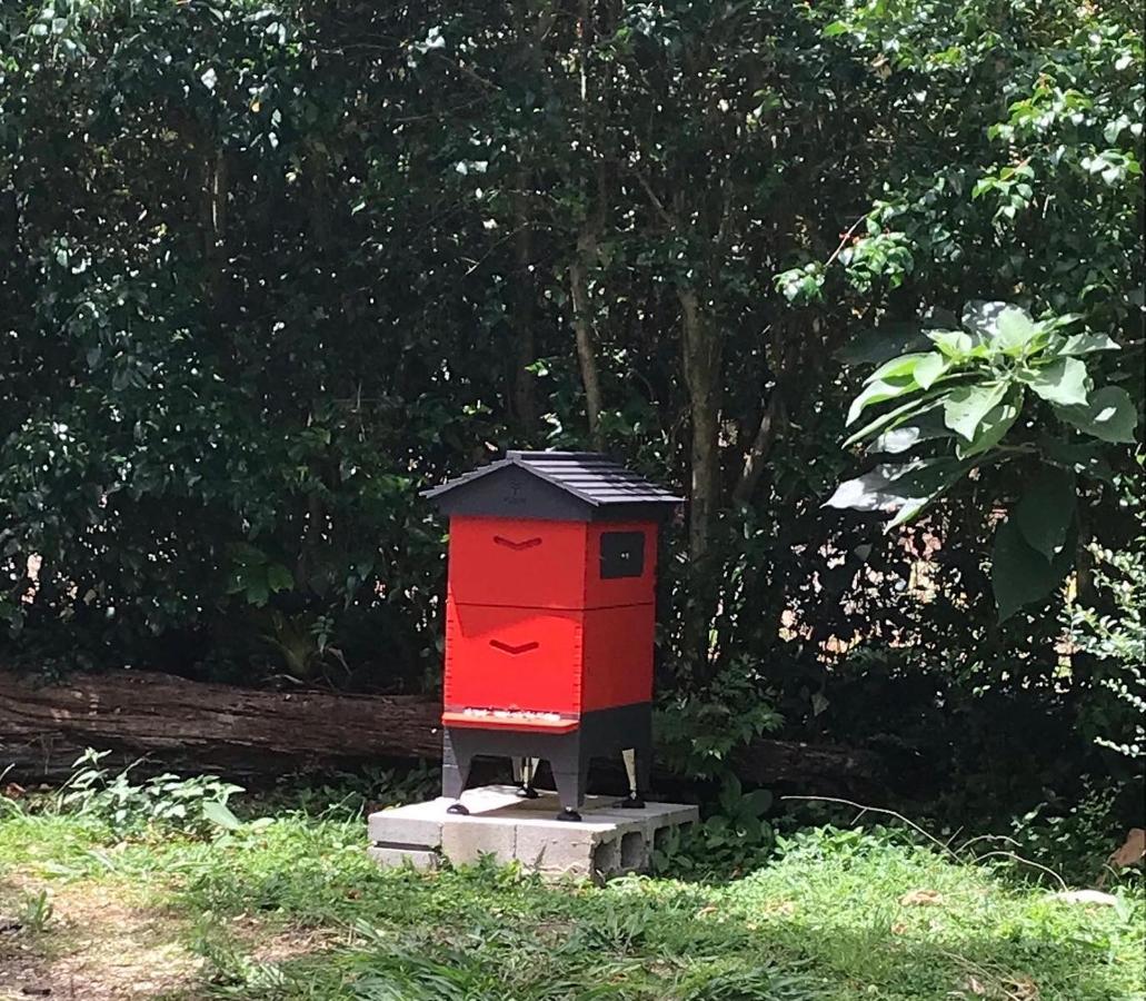 Pk Illusions Lägenhet Maleny Exteriör bild